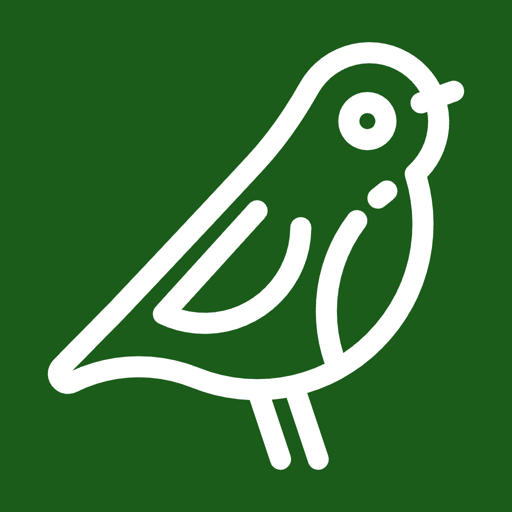 The cartoon outline of a bird against a forest green background